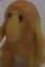 Yellow Clayman