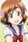 Sakura, Hane