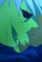 Green Gentleman