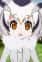 Northern White-faced Owl