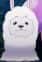 Paca