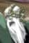 Barodius's Father