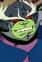 Beetle