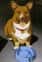 Ein