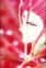 Suzaku