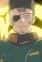 Gam, Enge