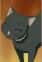 Shinnosuke