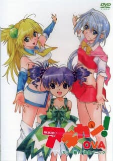 Akikan!: Kan Ippatsu!? Onsen Panic Akikan!: Kan Ippatsu!? Onsen Panic