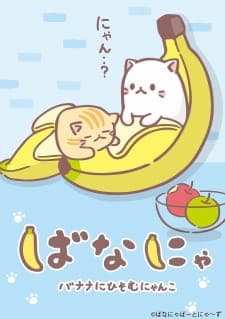 Bananya Bananya