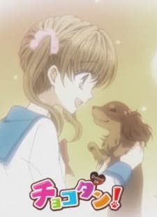 Chocotan! Chocotan!
