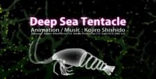 Deep Sea Tentacle Deep Sea Tentacle