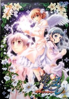 Kashimashi: Girl Meets Girl - Shoujo wa Shoujo ni Koi wo Shita Kashimashi: Girl Meets Girl - Shoujo wa Shoujo ni Koi wo Shita