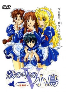 Kara no Naka no Kotori Kara no Naka no Kotori
