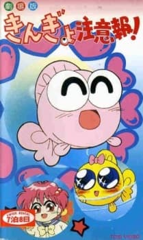 Kingyo Chuuihou! (Movie) Kingyo Chuuihou! (Movie)