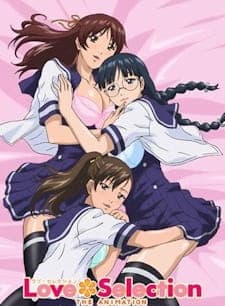 Love Selection The Animation Love Selection The Animation