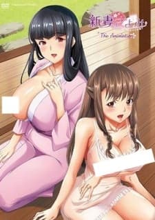 Niizuma Koyomi The Animation Niizuma Koyomi The Animation