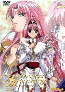 Princess Memory Princess Memory