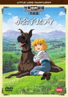 Shoukoushi Cedie Shoukoushi Cedie
