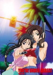 Taiho Shichau zo in America Taiho Shichau zo in America