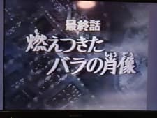 Versailles no Bara: Moetsukita Bara no Shouzou Versailles no Bara: Moetsukita Bara no Shouzou